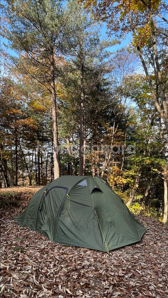 헬스포츠 김레 패밀리4+ 텐트 산수유람 S급 풀옵--4