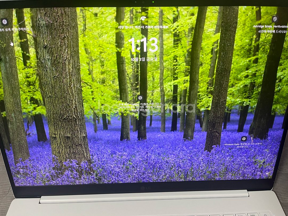 LG Gram 17인치 RTX4050--2