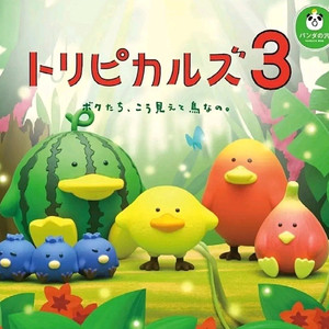 과일새 트로피칼버드 트로피컬버드 가챠 3탄 4탄