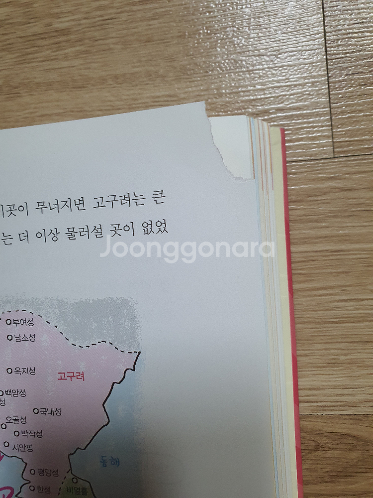 큰별샘 최태성의 초등별별한국사--1