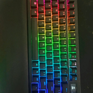 블랙위도우 v4 pro 75% [풀박스]