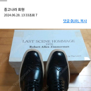 남.여공용 키높이구두. 로버트알렌짐머만.