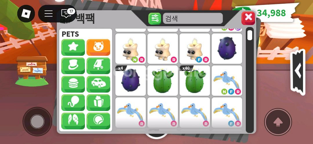 입양하세요--1