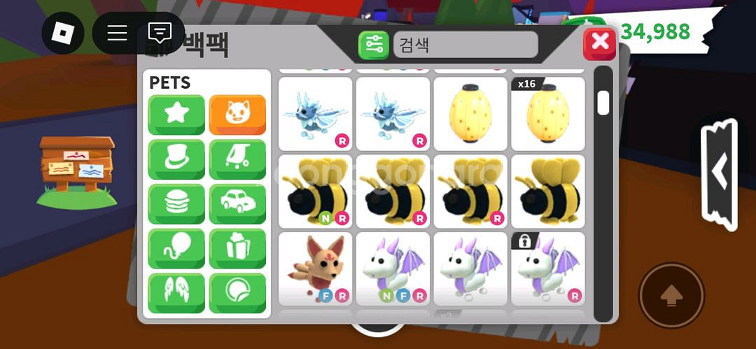 입양하세요--8