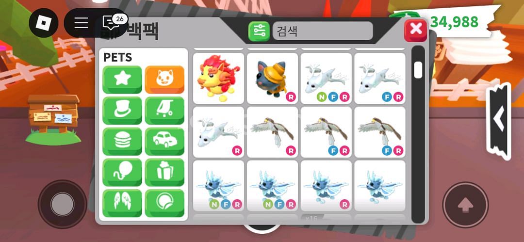 입양하세요--7