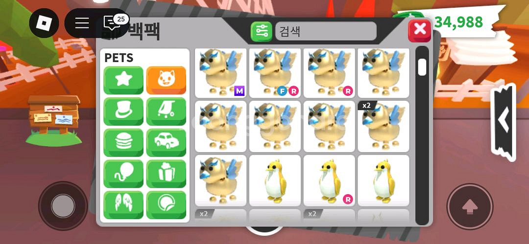 입양하세요--5
