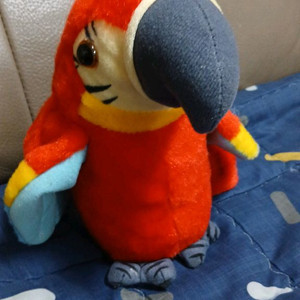 말 따라하는 앵무새