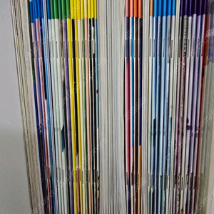 수퍼맘 빅캣