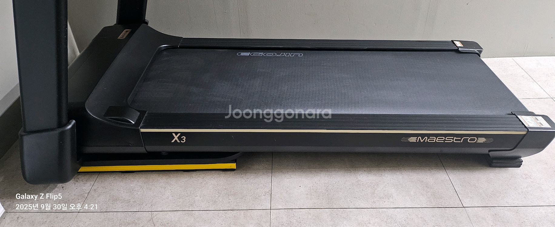 이고진x3러닝머신--0