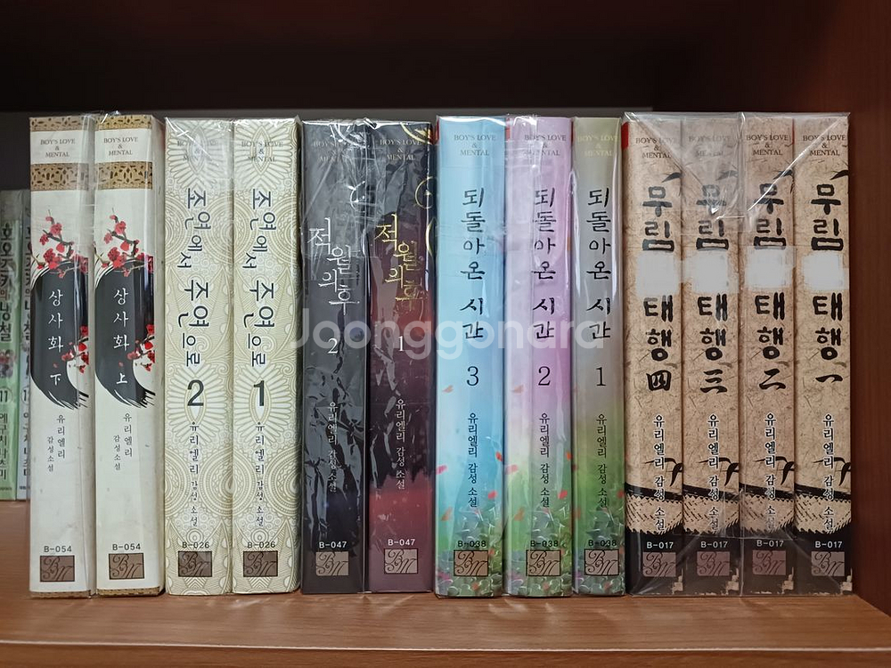 BL소설(유리엘리) 일괄판매--0