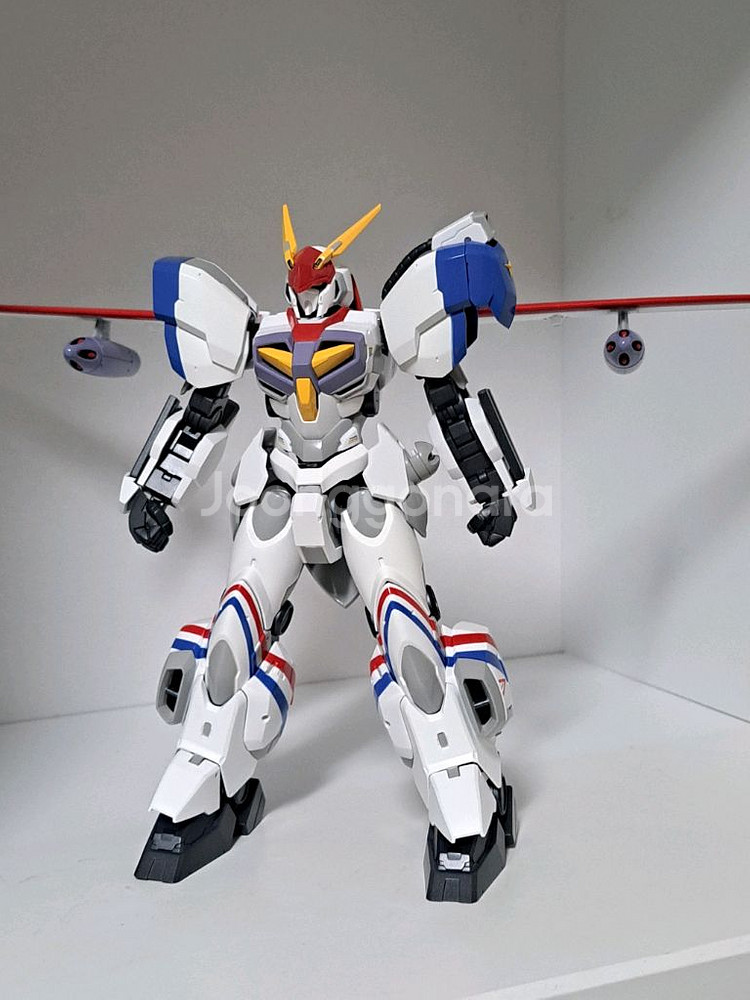 센티넬 드라고나 커스텀 팝니다.--3