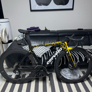 써벨로s5 2025년식 판매 이미지