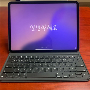 아이패드프로 11 3세대 256g wifi