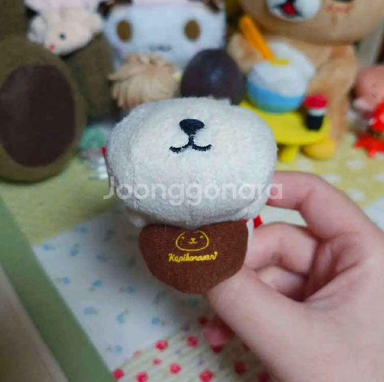 [일본정품] 고전 초코 카피바라상 인형--5