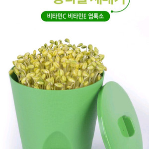 집에서 콩나물키우기 콩나물 시루 재배기