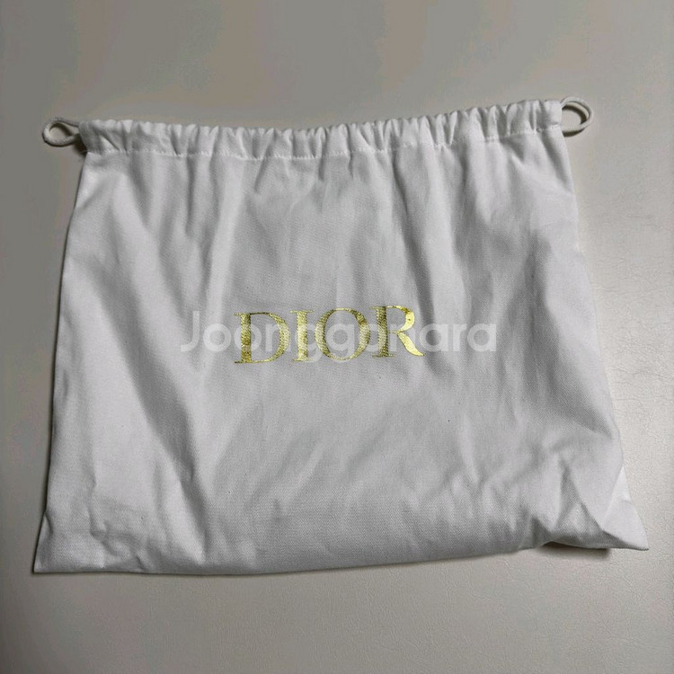 디올 레이디백 미니--8