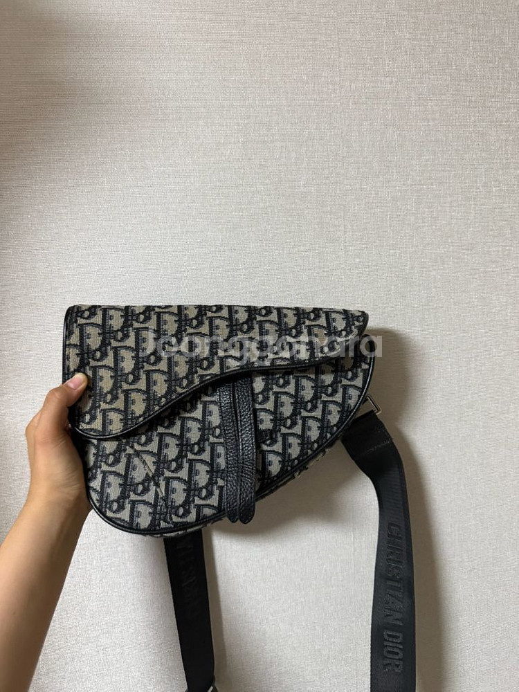 디올 오블리크 새들백--0