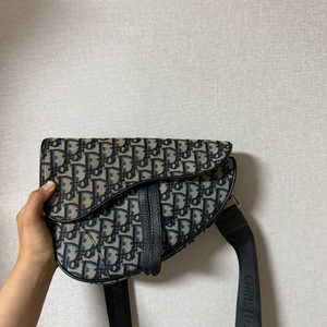 디올 오블리크 새들백