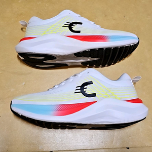 카본 런닝화 2EA