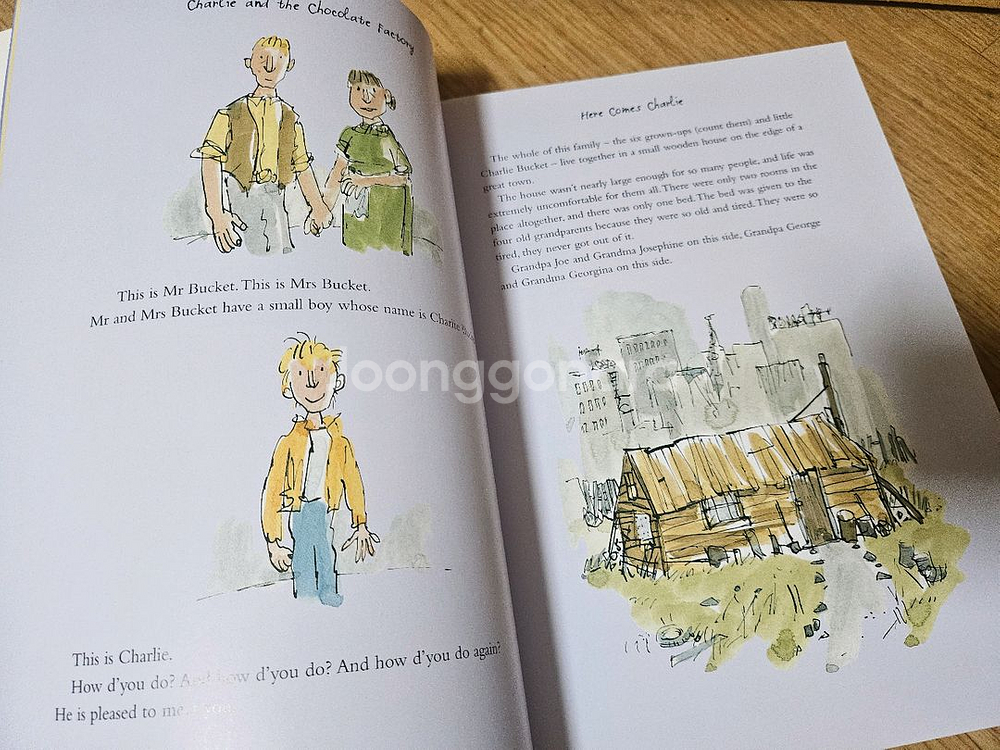 로얄드달 원서 컬러판 15권 최상 A4사이즈--7