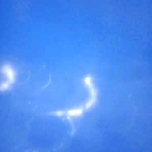 네이버페이 5천원 팝니다
