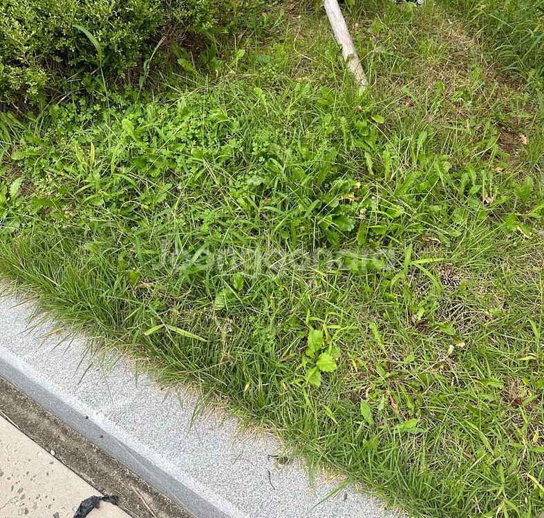 롯데시네마 영화 8천원 ( 3징 가능)--0