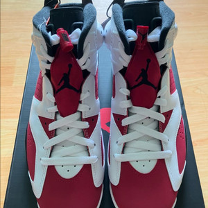 에어 조던6 카마인 265