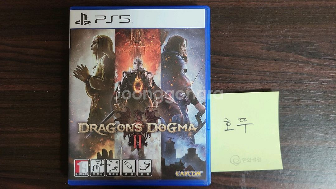 ps5 드래곤즈 도그마2--0