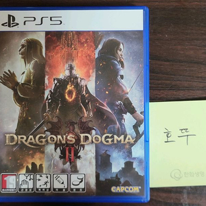 ps5 드래곤즈 도그마2