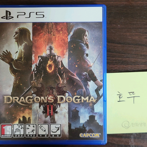 ps5 드래곤즈 도그마2