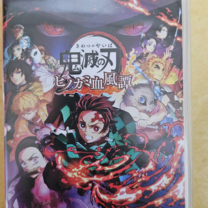 닌텐도 스위치 귀멸의 칼날 히노카미 혈풍담 일본아 버전