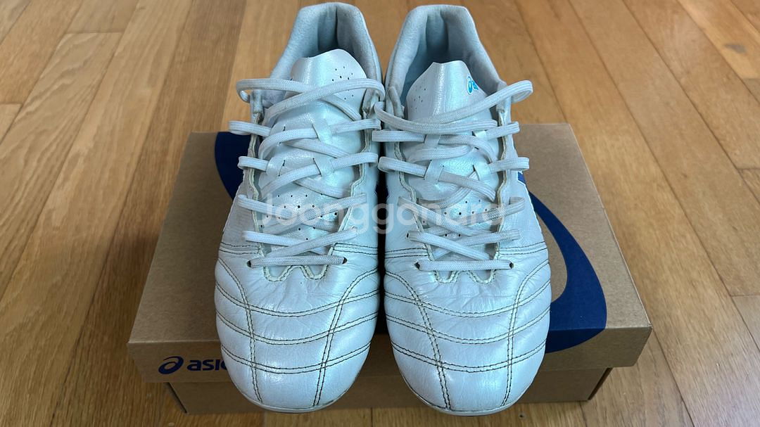 아식스 DS LIGHT PRO AG--0