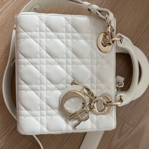 디올 레이디백 스몰