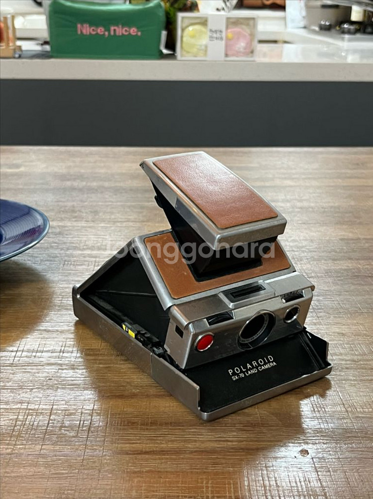 폴라로이드 SX-70--1