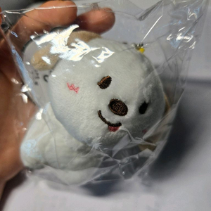 라이즈 10cm 인형 앤톤 멍룡이 양도