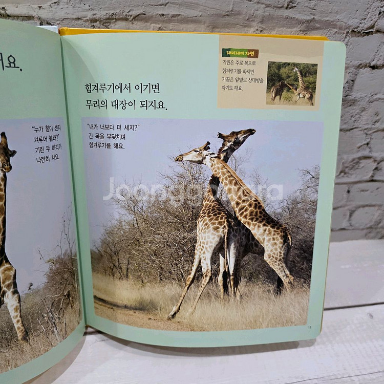 프뢰벨 생생다큐 자연관찰 씽킹펜 버전(씽킹펜포함)--5