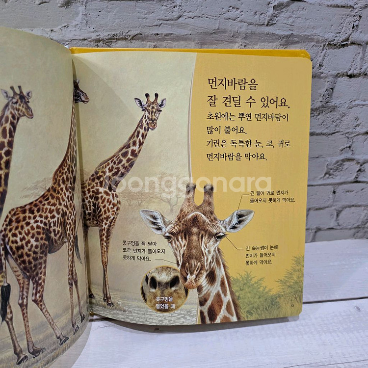 프뢰벨 생생다큐 자연관찰 씽킹펜 버전(씽킹펜포함)--6