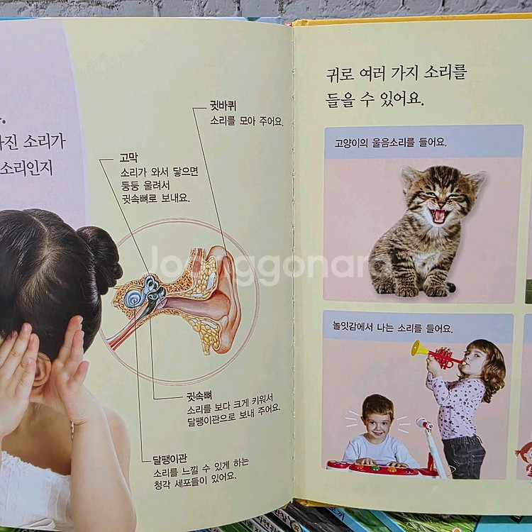 프뢰벨 생생다큐 자연관찰 씽킹펜 버전(씽킹펜포함)--7