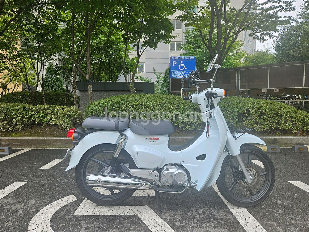 25년식 슈퍼커브 팝니다(820km)--1