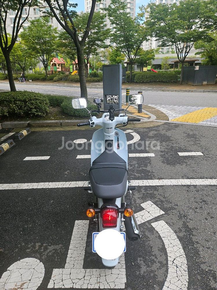 25년식 슈퍼커브 팝니다(820km)--3