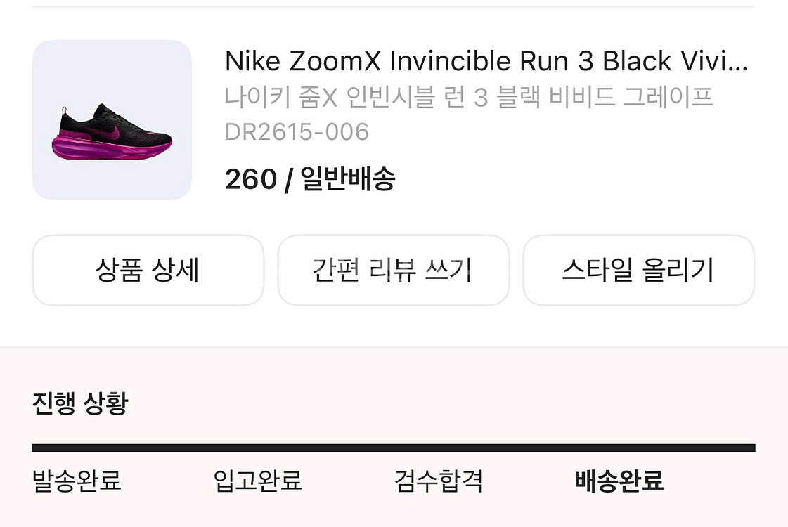 나이키 인빈서블3 260--3