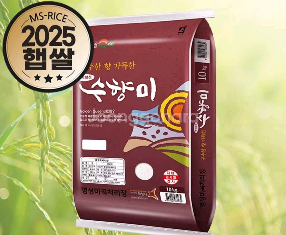 25년 올해햅쌀 수향미 쌀10kg 무료배송41500원--0