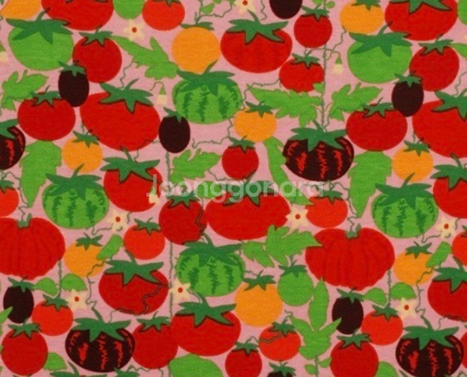 던스스웨덴 핑크토마토긴팔--0