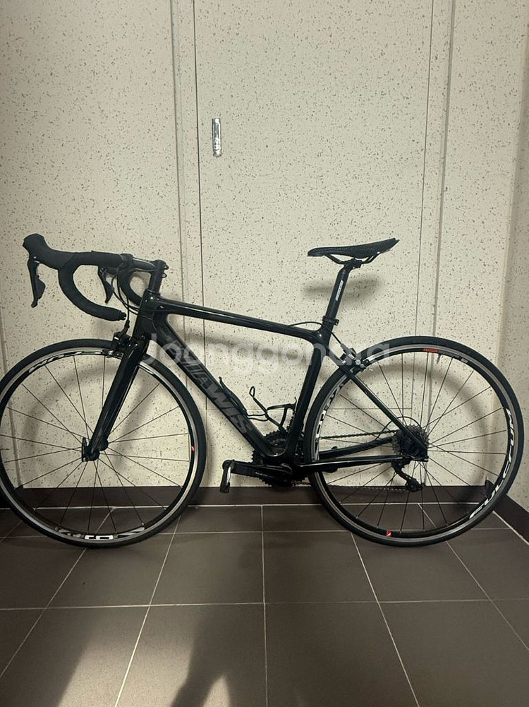 위아위스 프로스트c--0