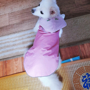 더월씨독 강아지 우비 레인코트(흉부45~58cm)