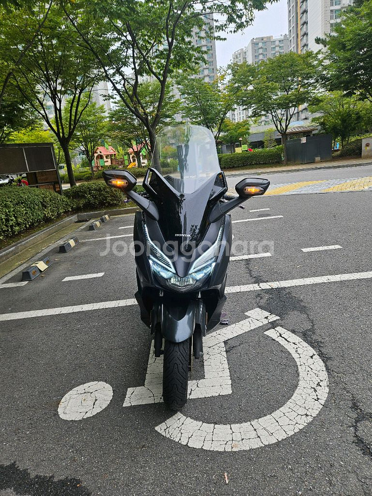 포르자 3.2만키로 묻따 250에 팝니다--0