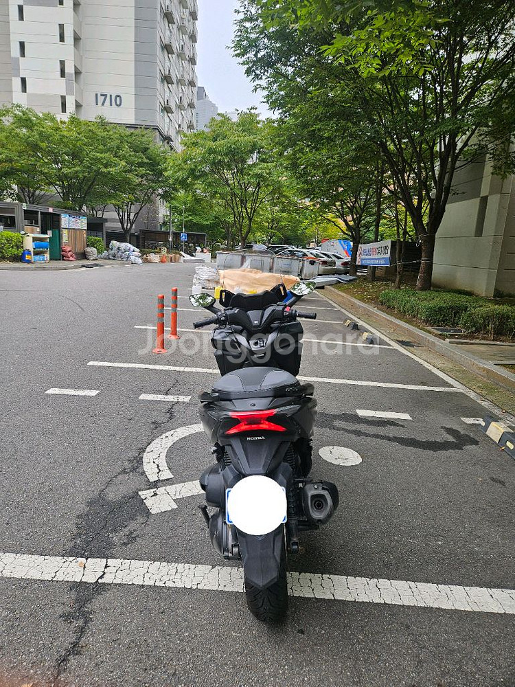 포르자 3.2만키로 묻따 250에 팝니다--3