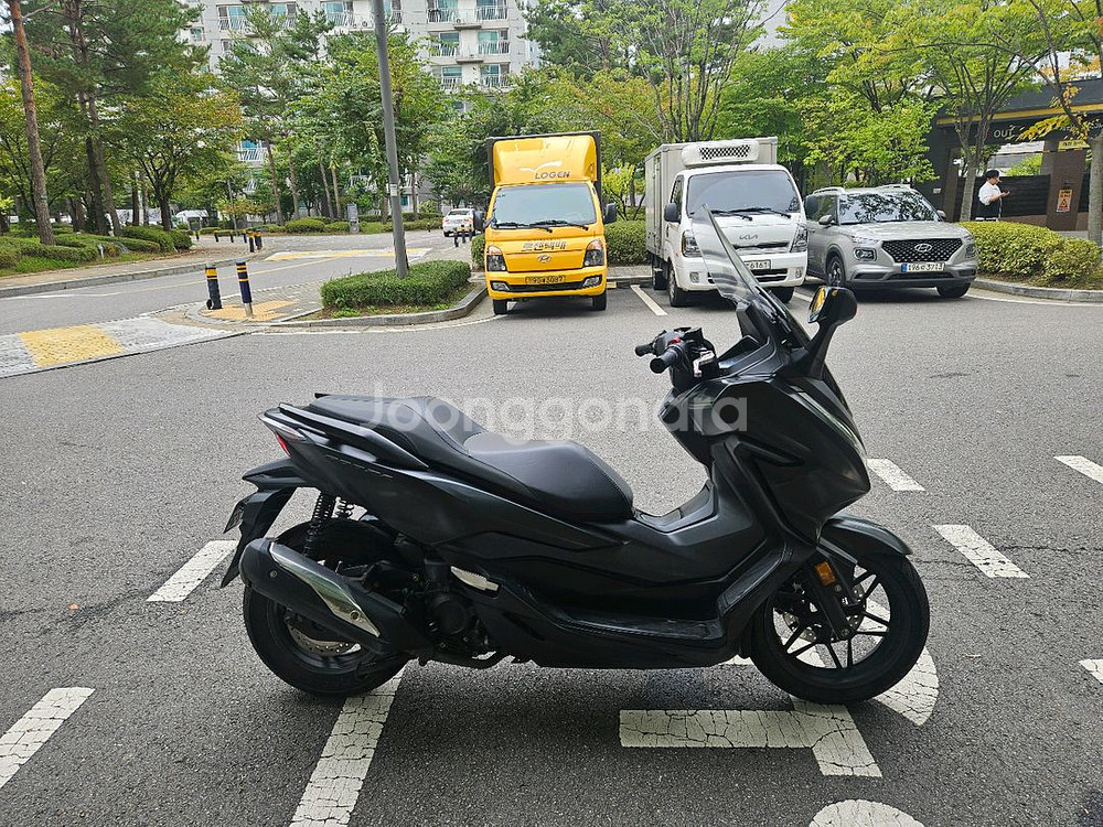 포르자 3.2만키로 묻따 250에 팝니다--1