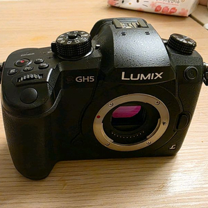 파나소닉 루믹스 GH5 미러리스 바디 카메라