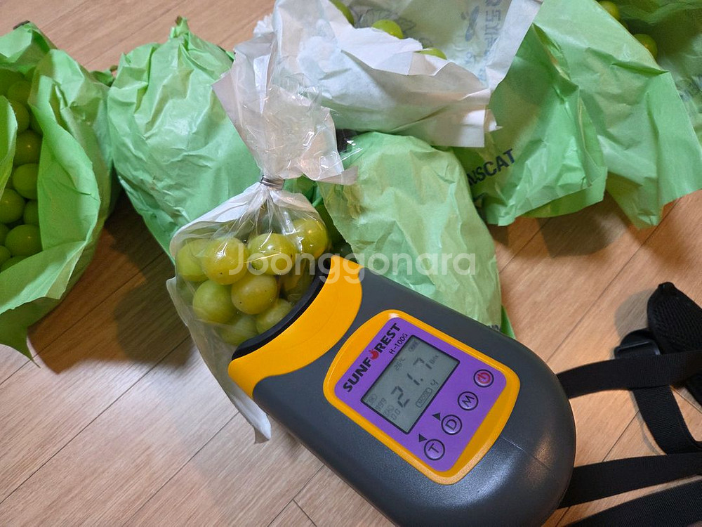 해아림 비파괴 당도측정기 H-100G--6